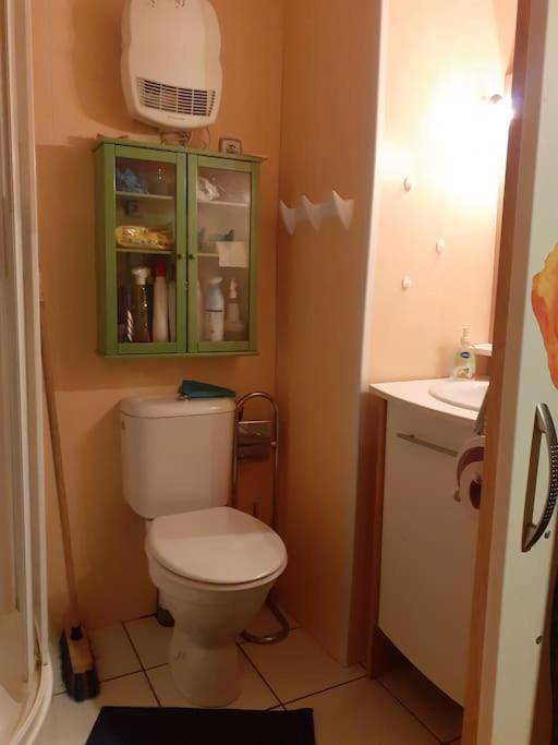 Appartement Face Au Thermes Et Au Calme Bagnères-de-Luchon Kültér fotó